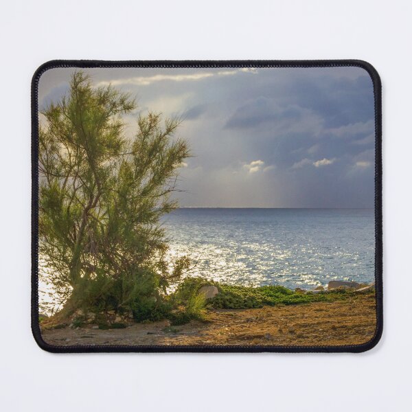 Item preview, Solitary Coastal Tree on Sunlit Shoreline With Dramatic Clouds and Ocean Reflections at Sunset designed and sold by Nmallia.