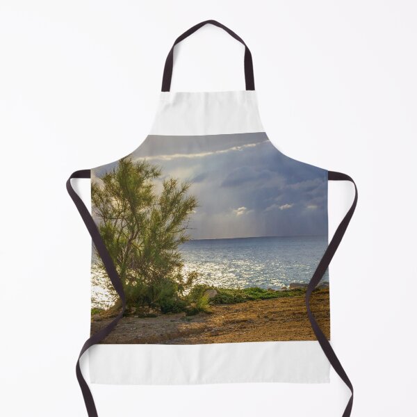 Item preview, Solitary Coastal Tree on Sunlit Shoreline With Dramatic Clouds and Ocean Reflections at Sunset designed and sold by Nmallia.