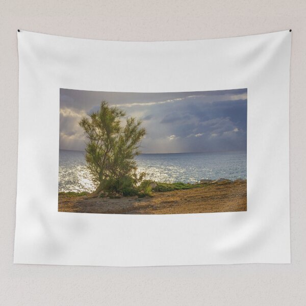 Item preview, Solitary Coastal Tree on Sunlit Shoreline With Dramatic Clouds and Ocean Reflections at Sunset designed and sold by Nmallia.