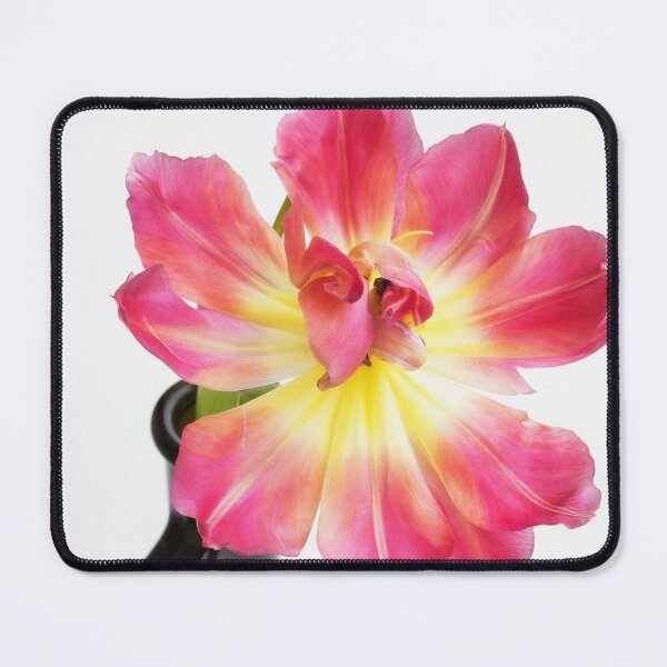 Item preview, In the Prime of my Life designed and sold by Kasia Design.