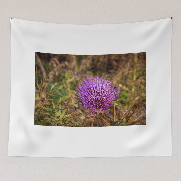 Item preview, Vibrant Purple Thistle Flower With Spiky Leaves Closeup In Natural Wildflower Habitat designed and sold by Nmallia.