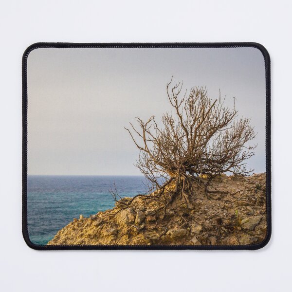 Item preview, Lonely Coastal Shrub Clinging to Rocky Cliff Overlooking Turquoise Sea at Sunset designed and sold by Nmallia.