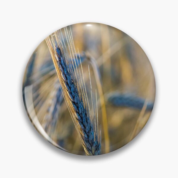 Item preview, Golden Wheat Close-Up in Barley Field at Sunset — Grain Ear Macro Agriculture Image designed and sold by Nmallia.