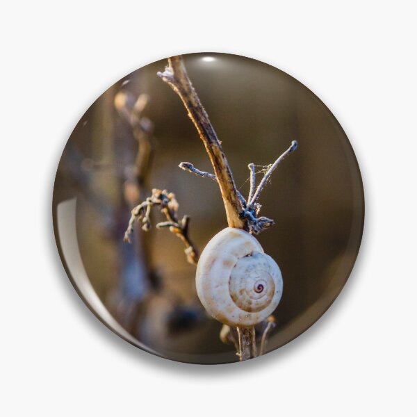 Item preview, Snail Shell on Dry Twig in Golden Light Close-Up Macro Nature Photograph Conveying Calm designed and sold by Nmallia.