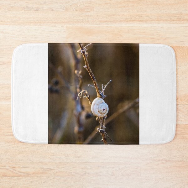 Item preview, Snail Shell on Dry Twig in Golden Light Close-Up Macro Nature Photograph Conveying Calm designed and sold by Nmallia.