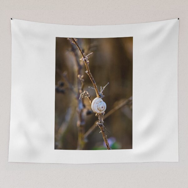 Item preview, Snail Shell on Dry Twig in Golden Light Close-Up Macro Nature Photograph Conveying Calm designed and sold by Nmallia.