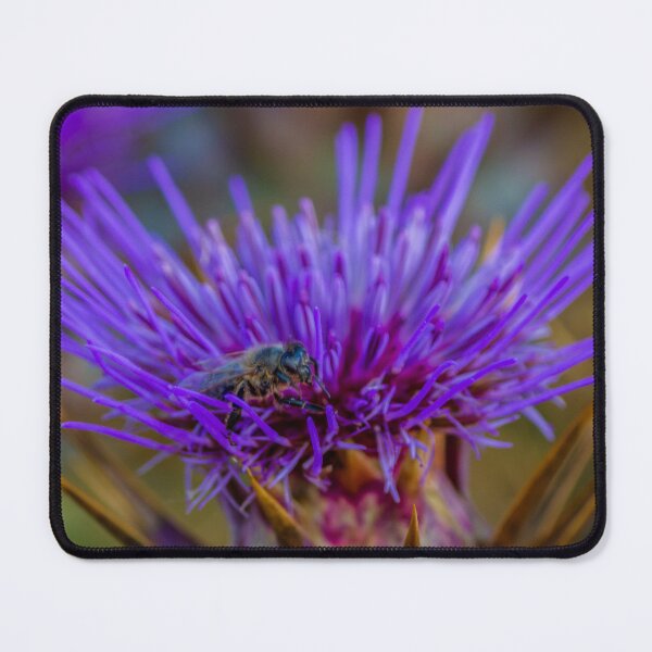 Item preview, Honey Bee Hovering Over Purple Thistle Flower Collecting Pollen On Spiky Wild Plant designed and sold by Nmallia.