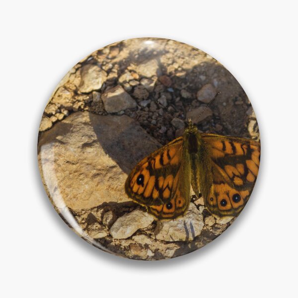 Item preview, Close-Up Of Orange Butterfly With Eye Spots Resting On Rocky Ground In Sunlight designed and sold by Nmallia.
