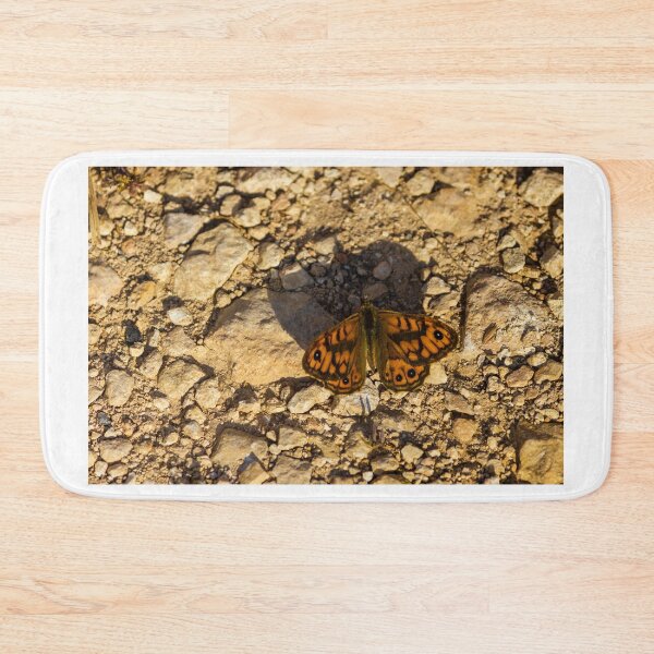 Item preview, Close-Up Of Orange Butterfly With Eye Spots Resting On Rocky Ground In Sunlight designed and sold by Nmallia.