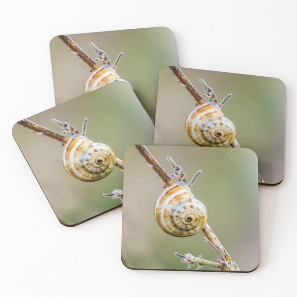 Item preview, Macro Close-Up Of Striped Snail Shell Clinging To Dry Twig In Soft Natural Light designed and sold by Nmallia.