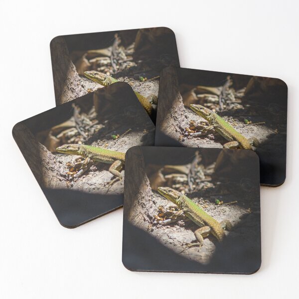 Item preview, Sunbathing Lizard On Rock In Dry Woodland Sunlight, Close-Up Reptile Portrait In Nature designed and sold by Nmallia.