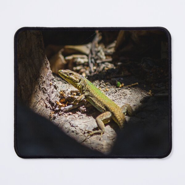 Item preview, Sunbathing Lizard On Rock In Dry Woodland Sunlight, Close-Up Reptile Portrait In Nature designed and sold by Nmallia.