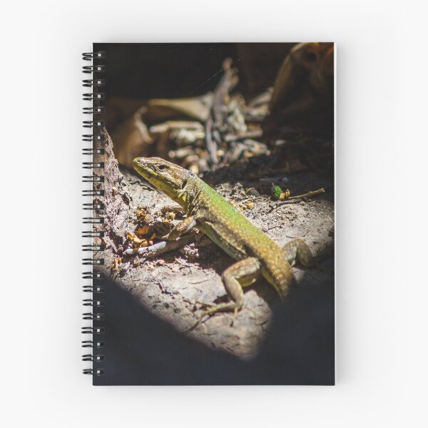 Item preview, Sunbathing Lizard On Rock In Dry Woodland Sunlight, Close-Up Reptile Portrait In Nature designed and sold by Nmallia.