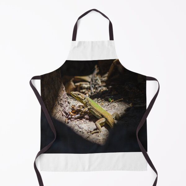 Item preview, Sunbathing Lizard On Rock In Dry Woodland Sunlight, Close-Up Reptile Portrait In Nature designed and sold by Nmallia.