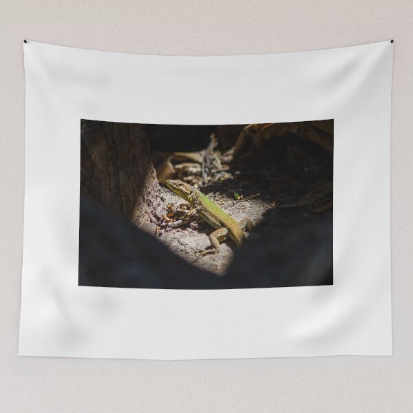 Item preview, Sunbathing Lizard On Rock In Dry Woodland Sunlight, Close-Up Reptile Portrait In Nature designed and sold by Nmallia.