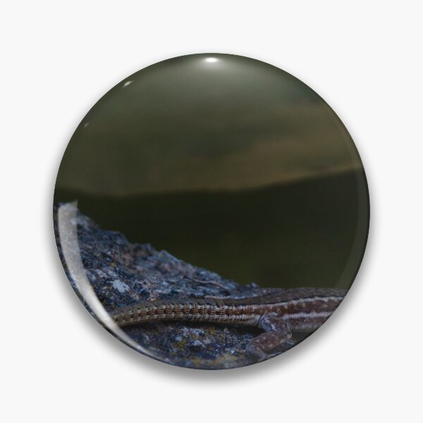 Item preview, Sunbathing Lizard On Rock In Dry Woodland Sunlight, Close-Up Reptile Portrait In Nature designed and sold by Nmallia.