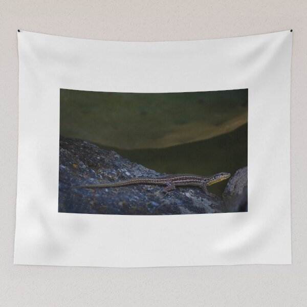 Item preview, Sunbathing Lizard On Rock In Dry Woodland Sunlight, Close-Up Reptile Portrait In Nature designed and sold by Nmallia.