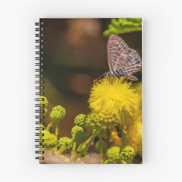 Item preview, Small Blue Butterfly Feeding on Bright Yellow Puff Flower Among Green Buds in Natural Macro designed and sold by Nmallia.