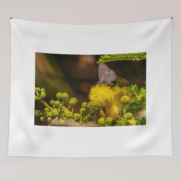 Item preview, Small Blue Butterfly Feeding on Bright Yellow Puff Flower Among Green Buds in Natural Macro designed and sold by Nmallia.