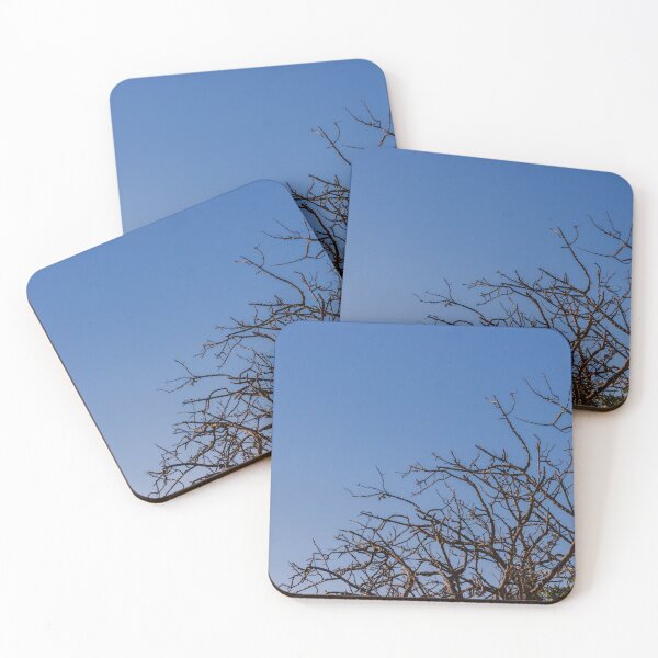 Item preview, Leafless Tree Branches Against Clear Blue Sky Minimal Winter Silhouette and Natural Texture designed and sold by Nmallia.