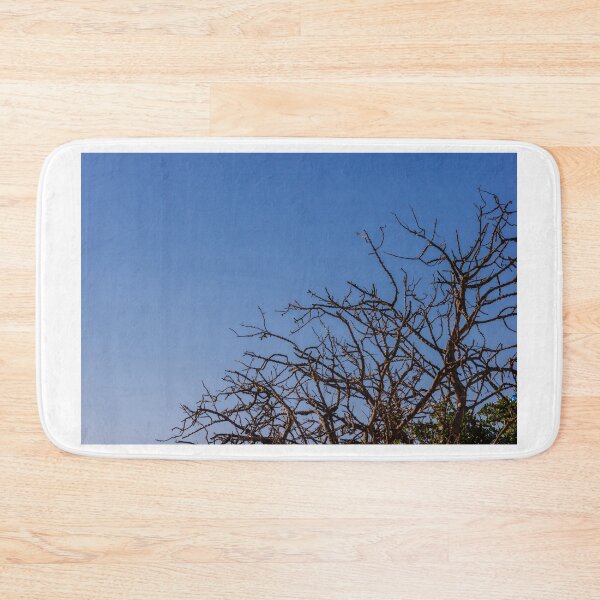 Item preview, Leafless Tree Branches Against Clear Blue Sky Minimal Winter Silhouette and Natural Texture designed and sold by Nmallia.