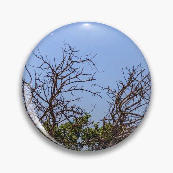 Item preview, Leafless Tree Branches Against Clear Blue Sky Minimal Winter Silhouette and Natural Texture designed and sold by Nmallia.