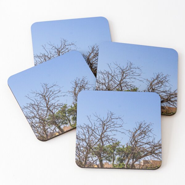 Item preview, Leafless Tree Branches Against Clear Blue Sky Minimal Winter Silhouette and Natural Texture designed and sold by Nmallia.