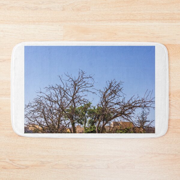 Item preview, Leafless Tree Branches Against Clear Blue Sky Minimal Winter Silhouette and Natural Texture designed and sold by Nmallia.