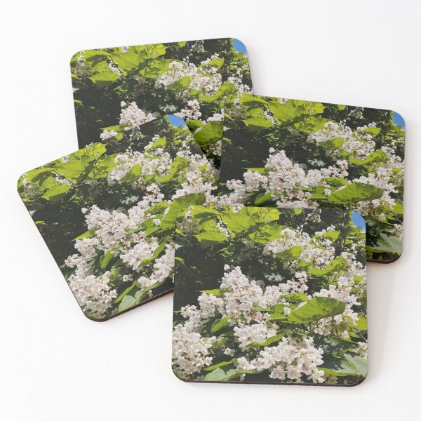 Item preview, Blooming Southern Catalpa Tree Close-Up designed and sold by inspiration3.