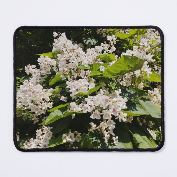 Item preview, Blooming Southern Catalpa Tree Close-Up designed and sold by inspiration3.