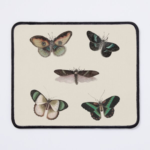 Item preview, Vintage Moths & Butterflies – Dark Academia Natural History Collage designed and sold by Zuo-Shop.