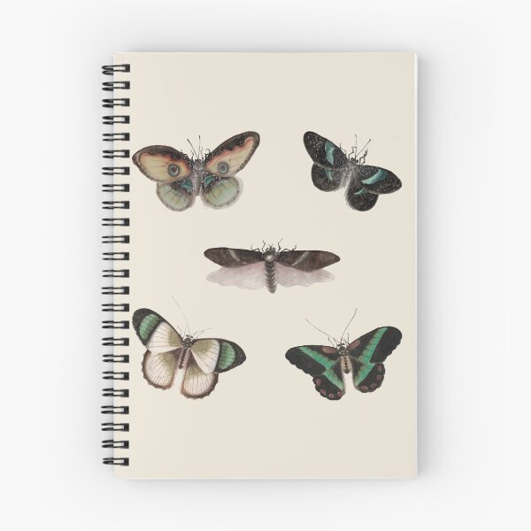 Item preview, Vintage Moths & Butterflies – Dark Academia Natural History Collage designed and sold by Zuo-Shop.