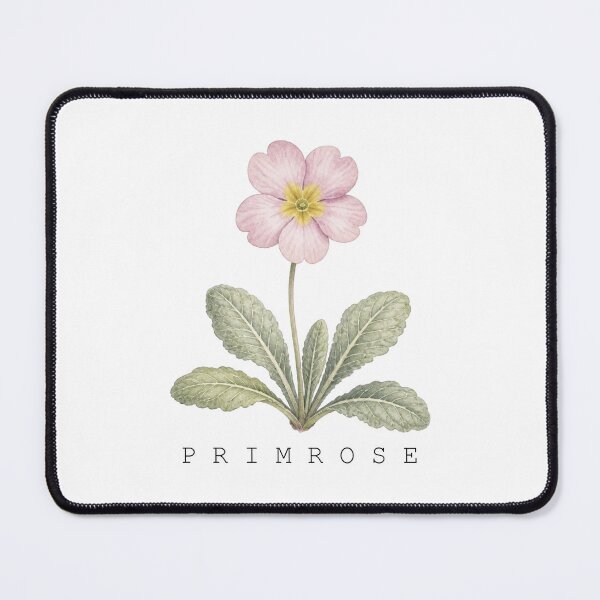 Item preview, Pink Primrose Watercolor Botanical Flower Illustration Wall Art designed and sold by FernLiz.