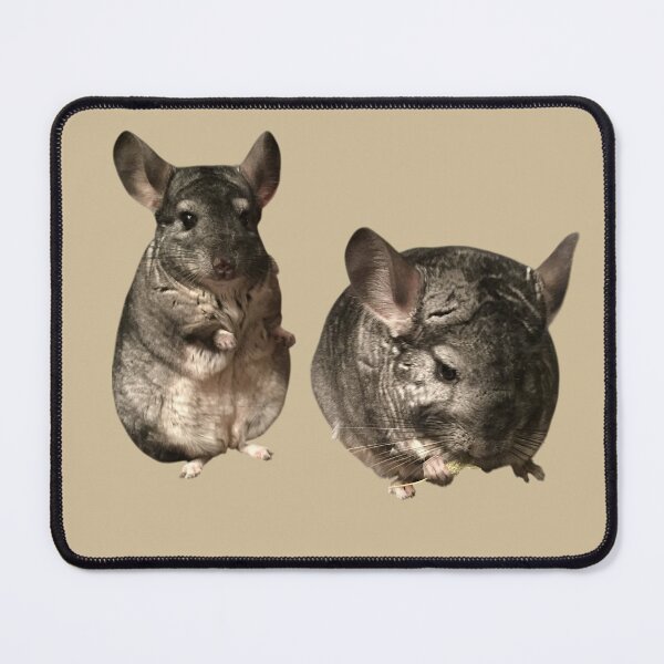 Item preview, Chichillas designed and sold by ArtByKevG.