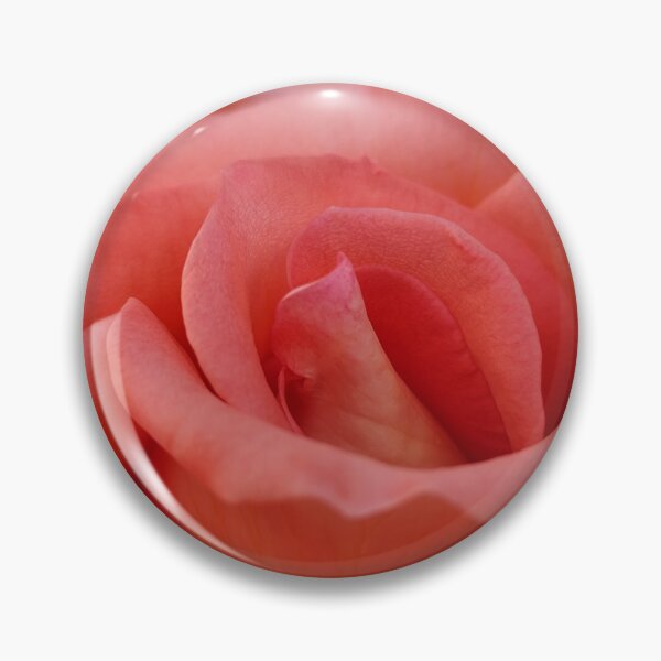 Item preview, Delicate Pink Cream Rose Rosa Petal Blooming Outside designed and sold by vtspatial.
