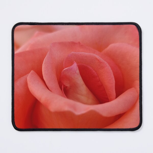 Item preview, Delicate Pink Cream Rose Rosa Petal Blooming Outside designed and sold by vtspatial.