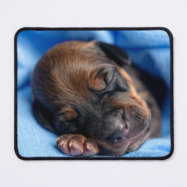 Item preview, Sleeping Newborn Puppy in Blue Blanket - Cute Tiny Dog Portrait - Cozy Pet Photography designed and sold by WildGentlemen.