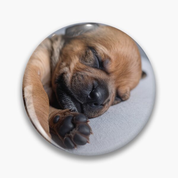 Item preview, Peaceful Newborn Puppy Napping - Sweet Brown Dog Portrait - Gentle Pet Photography designed and sold by WildGentlemen.