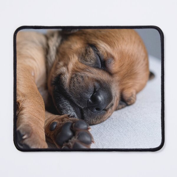 Item preview, Peaceful Newborn Puppy Napping - Sweet Brown Dog Portrait - Gentle Pet Photography designed and sold by WildGentlemen.