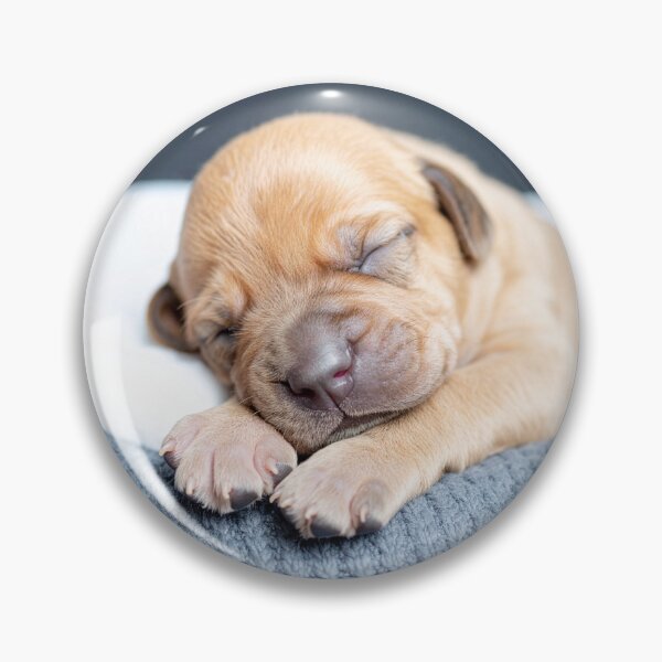 Item preview, Newborn Puppy Sleeping on Grey Knit - Soft Baby Dog Photography - Serene Pet Portrait designed and sold by WildGentlemen.