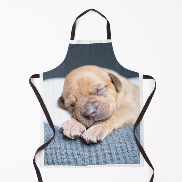 Item preview, Newborn Puppy Sleeping on Grey Knit - Soft Baby Dog Photography - Serene Pet Portrait designed and sold by WildGentlemen.