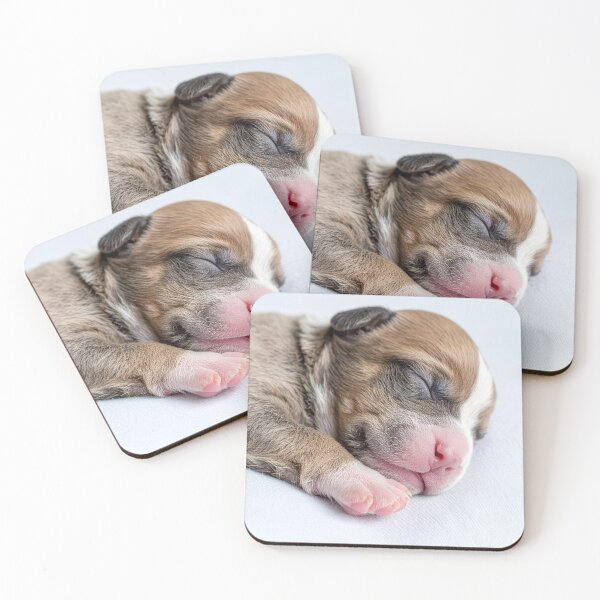 Item preview, Newborn Puppy Sleeping Portrait - Cute Baby Dog Photography - Serene Pet Aesthetic designed and sold by WildGentlemen.