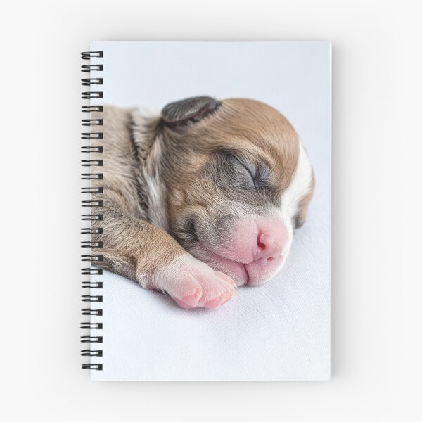 Item preview, Newborn Puppy Sleeping Portrait - Cute Baby Dog Photography - Serene Pet Aesthetic designed and sold by WildGentlemen.