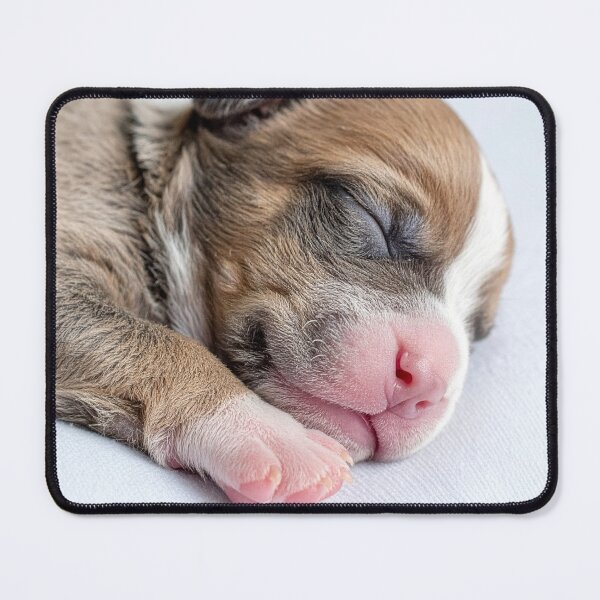 Item preview, Newborn Puppy Sleeping Portrait - Cute Baby Dog Photography - Serene Pet Aesthetic designed and sold by WildGentlemen.