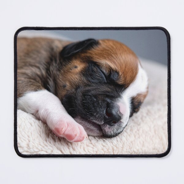 Item preview, Newborn Puppy Napping on Fluffy Pillow - Sweet Tiny Dog Photography - Cozy Pet Aesthetic designed and sold by WildGentlemen.