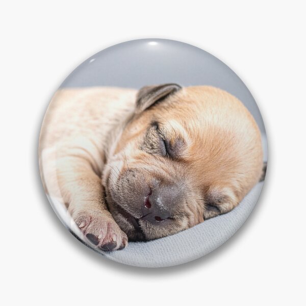Item preview, Newborn Puppy Sleeping on Grey Pillow - Calm Baby Dog Photography - Soft Pet Aesthetic designed and sold by WildGentlemen.