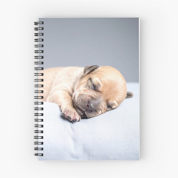 Item preview, Newborn Puppy Sleeping on Grey Pillow - Calm Baby Dog Photography - Soft Pet Aesthetic designed and sold by WildGentlemen.