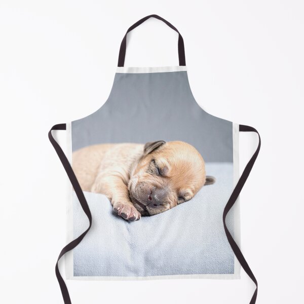 Item preview, Newborn Puppy Sleeping on Grey Pillow - Calm Baby Dog Photography - Soft Pet Aesthetic designed and sold by WildGentlemen.
