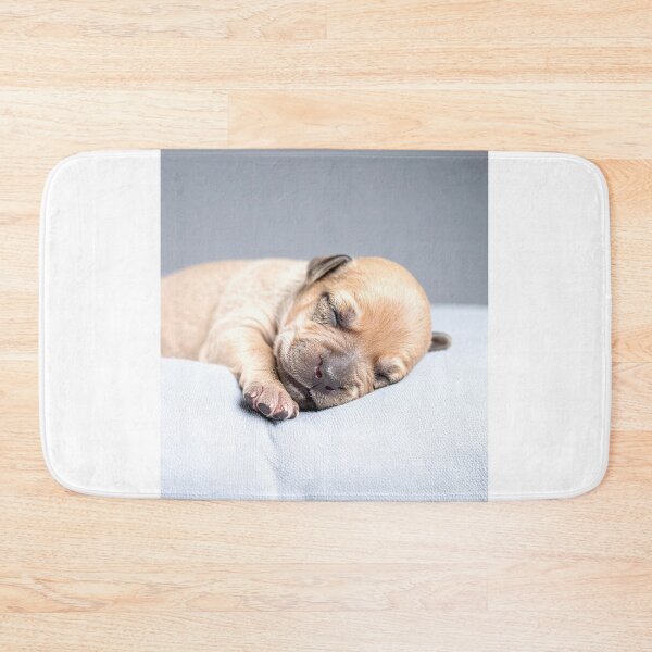 Item preview, Newborn Puppy Sleeping on Grey Pillow - Calm Baby Dog Photography - Soft Pet Aesthetic designed and sold by WildGentlemen.