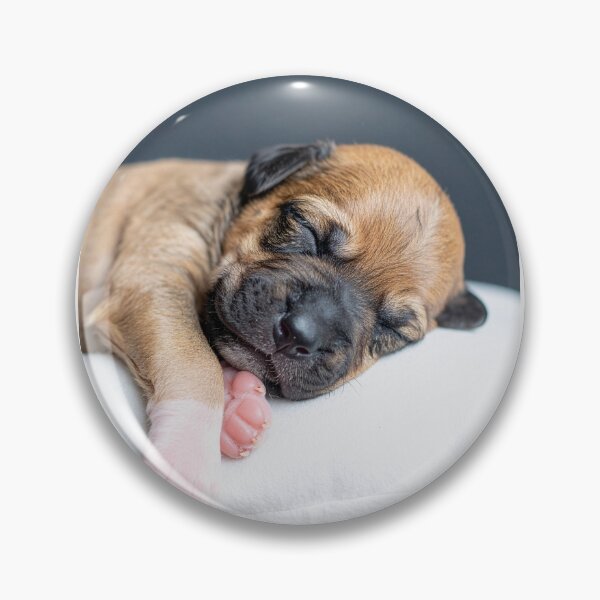 Item preview, Sleeping Newborn Puppy Close-up Portrait - Soft Tiny Dog Photography - Serene Pet Aesthetic designed and sold by WildGentlemen.